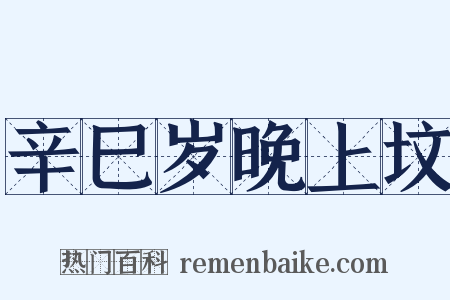 辛巳岁晚上坟是什么意思的图片